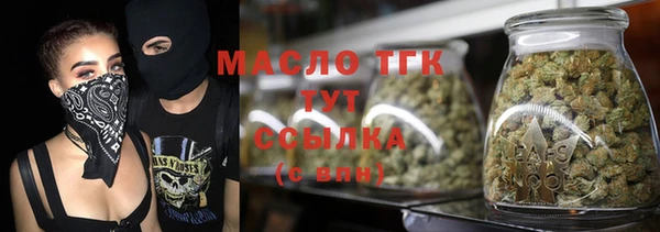 соль ск Каменка