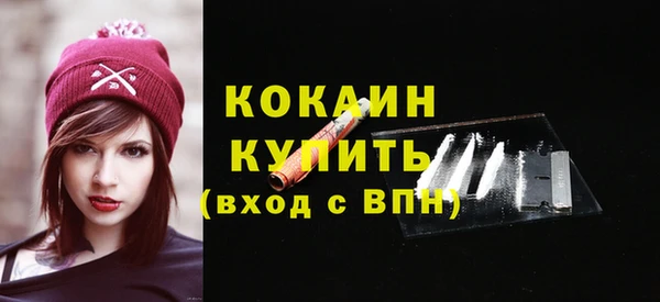 соль ск Каменка