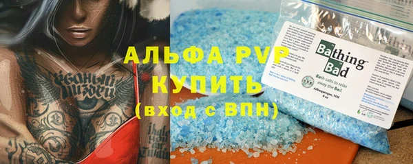 прущие грибы Касимов