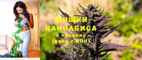 ГАЛЛЮЦИНОГЕННЫЕ ГРИБЫ Карталы
