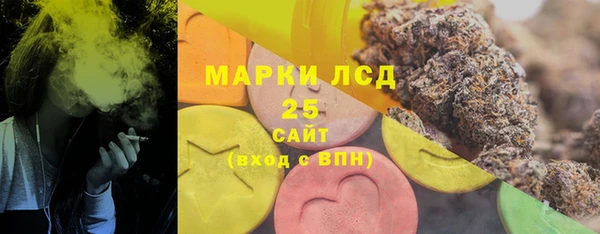 ГАЛЛЮЦИНОГЕННЫЕ ГРИБЫ Карталы