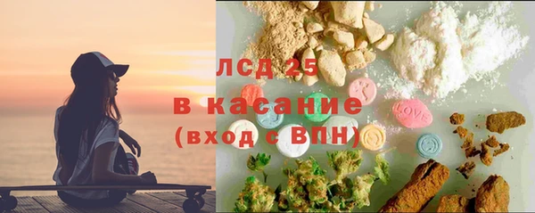прущие грибы Касимов