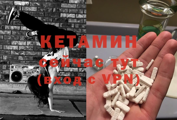 соль ск Каменка